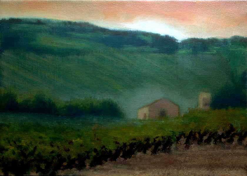 Dawn in vineyards in Provence