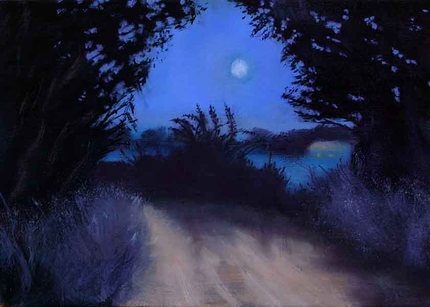 Moonlight in the countryside