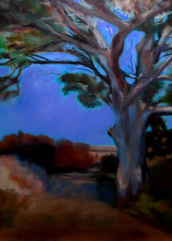 Pine Tree painting with provencal sky in Provence